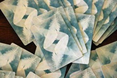 jeudice_matagot_wingspan_13