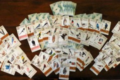 jeudice_matagot_wingspan_14