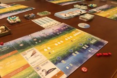 jeudice_matagot_wingspan_15