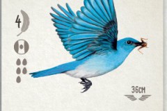 jeudice_matagot_wingspan_carte_3