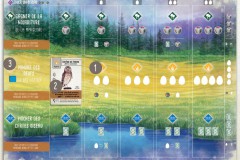 jeudice_matagot_wingspan_plateau_jeu