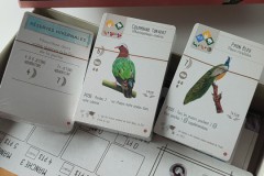 Jeudice - Matagot - SoneMaier Games - Wingspan Asie - Jeu de Société - Collection - Oiseau