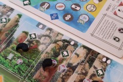 Jeudice - Matagot - SoneMaier Games - Wingspan Asie - Jeu de Société - Collection - Oiseau