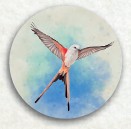 Jeudice - Stonemaier Games - Matagot - Wingspan