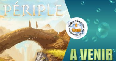 Jeudice - Lucky Duck Games - Périple