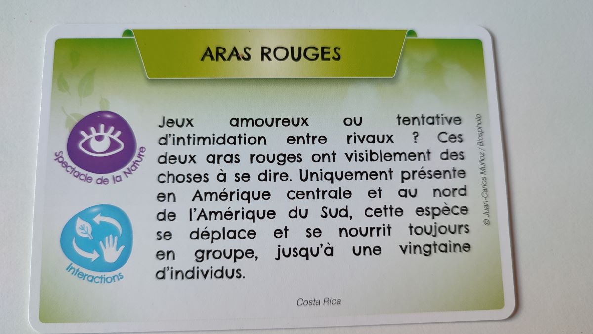 Jeudice - Bioviva Planète Jungles et Forêts