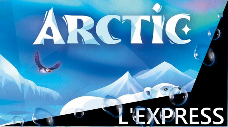 Jeudice - Ludonaute - Arctic - Jeu de Société - Cartes