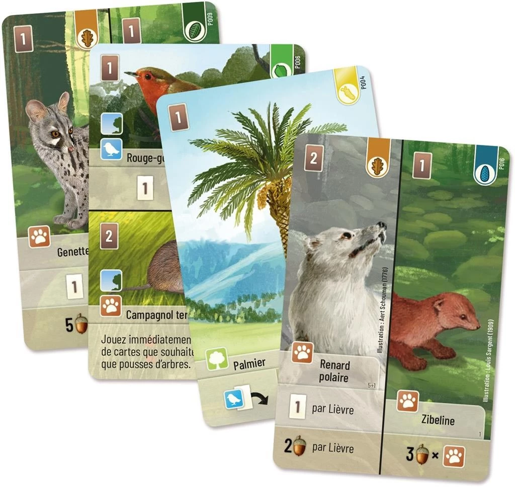 Jeudice - Lookout Games - extension Forêt Mixte - Exploration - Jeu de Société
