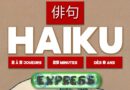 Jeudice - Multivers - Haiku - Jeu de Société