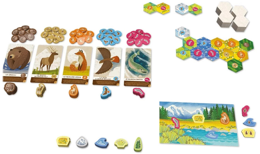 Jeudice - Lucky Duck Games - Flatout Games - AEG - Cascadia Junior - Jeu de Société