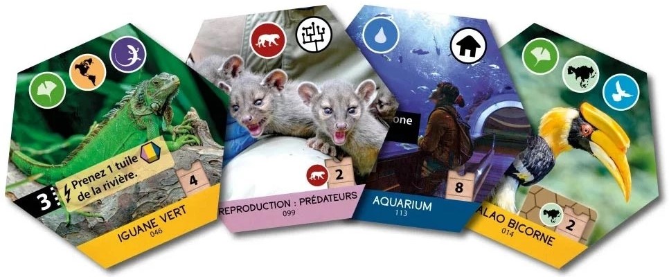 Jeudice - Feuerland - Super Meeple - Sanctuary - Jeu de Société